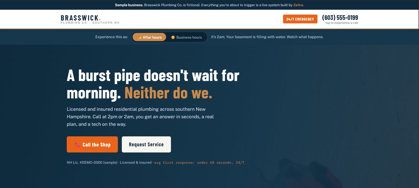 Brasswick Plumbing Co. demo landing page